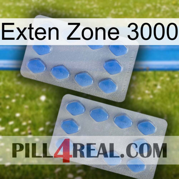 Exten Zone 3000 20.jpg